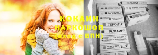 хмурый Алзамай