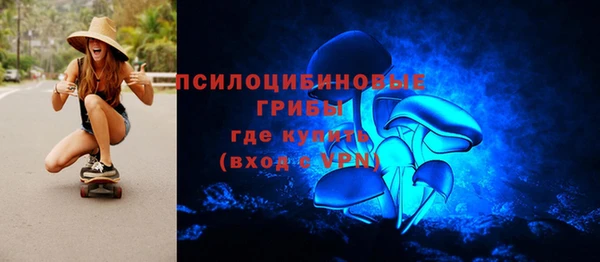 хмурый Алзамай
