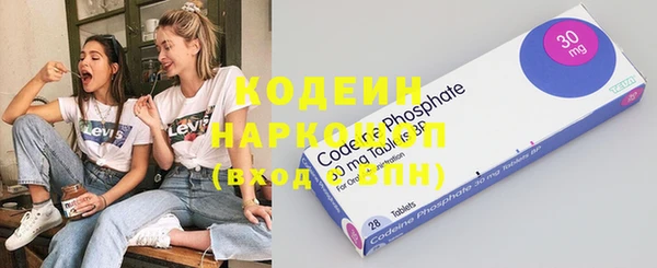 хмурый Алзамай