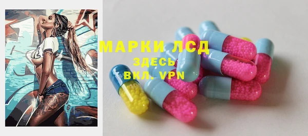 гашик Алексеевка