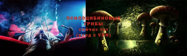 гашик Алексеевка