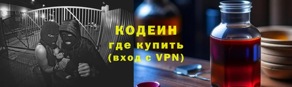 хмурый Алзамай
