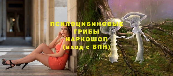 гашик Алексеевка