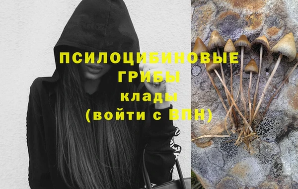 твердый Алексин